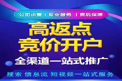 百度SEO推广：从零到一的成长案例
